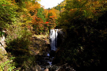 生天の中滝　紅葉　空撮