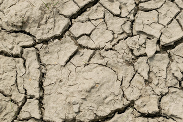 Cracked ground texture