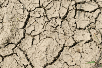 Cracked ground texture
