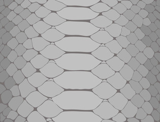 snake skin vector graphic texture - 230027908