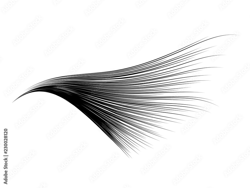 Poster Vector black brush stroke curved lines isolated on white background for  design element