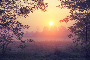 Sunrise over the field in the early misty morning