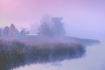 Beautiful rural morning landscape.  Lakeshore in the magical misty morning. Beautiful fairytale nature