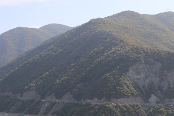 Mountains with green plant