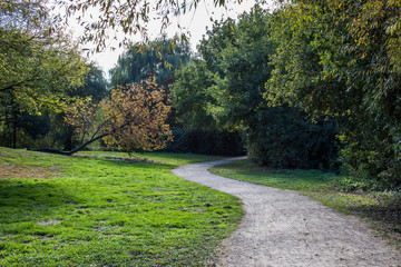herbstlicher Weg im Park