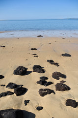 Dune du pila