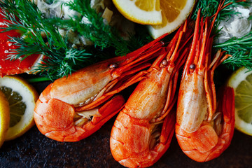 shrimp large pink whole with head and paws and tail against the background of slices of lemon and dill close-up of beer snack