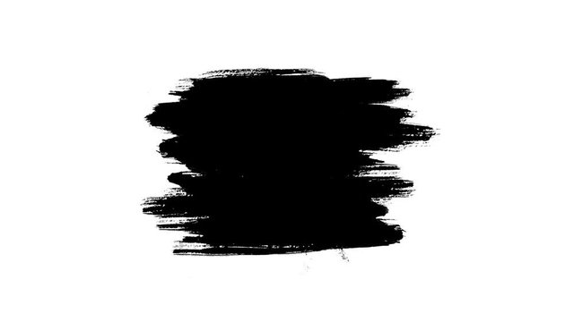 Animated drawing brush. Abstract hand painted element. Three versions with three colors on a white background