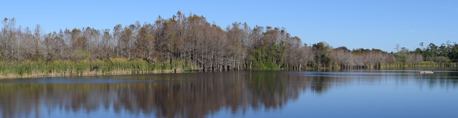 Six Mile Cypress Slough, Fort Myers, Florida
