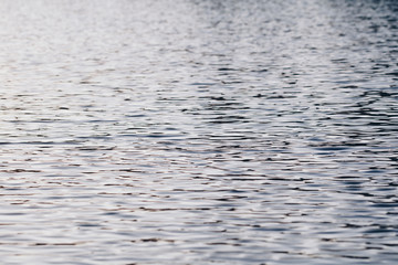 Calm water river background with reflection at sunset.