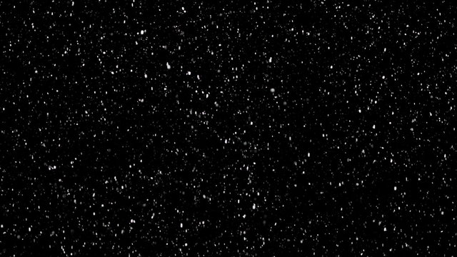 White Snow Falling On Isolated Black Background, Shot Of Flying Snowflakes Bokeh, Dust Particles Or Powder In The Air. Holiday Overlay Effect