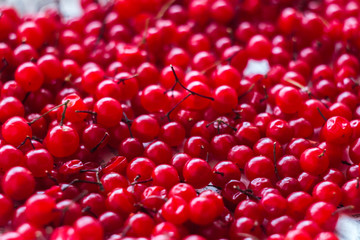 ripe juicy red currant berries. horizontal photo.