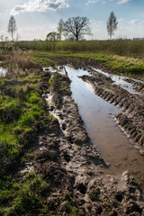 Fototapeta premium Tractor tracks in very wet soil.