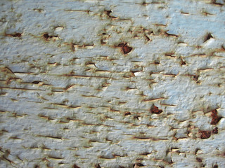 Rusty background