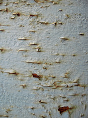 Fototapeta premium Rusty background