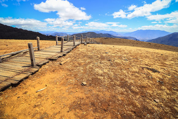 Fototapeta premium long wooden walkway with golden vast plain of Yak Meadow in Jade Dragon Snow Mountain area in Lijiang, Yunnan, China