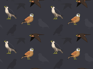 Obraz premium Bird Falcon Wallpaper