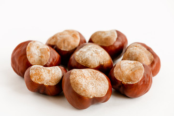 several large chestnuts on a white background