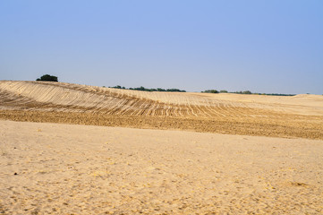 Agriculture in the Thal Desert