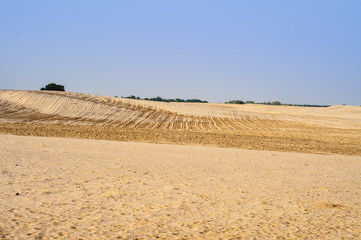 Agriculture in the Thal Desert 