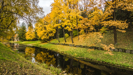 Fallen leaves on road in the forest, autumn landscape, nature trail, river in the park