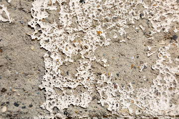 Farbtexturen