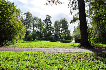 Kamienista ścieżka wśród trawy między drzewami w słoneczny dzień. © W Korczewski