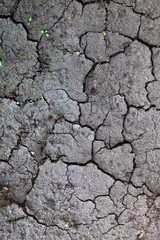 vertrocknete Erde