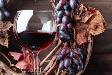 Glass of red wine with grapes and dried vine leaves.