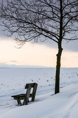 Lonely and empty bench with tree - winter landscape