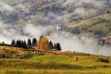 Foto auf Acrylglas Antireflex Foggy morning in Bucovina. Autumn colorful landscape in the romanian village © alexionutcoman