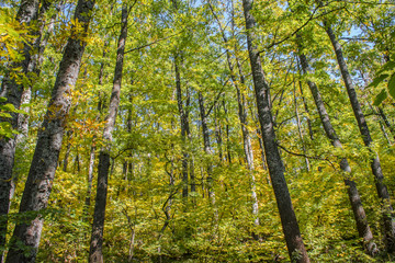 Beautiful autumn outdoor picture