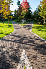 stone path in the garden