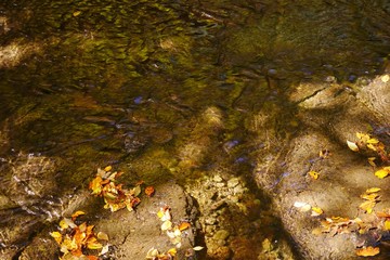 秋の紅葉を迎える阿蘇マゼノ渓谷