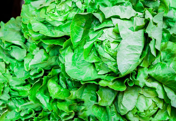 Fresh salad in the fruit market, Catania, Sicily, Italy