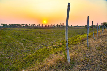 Fototapeta na wymiar sunset over a field