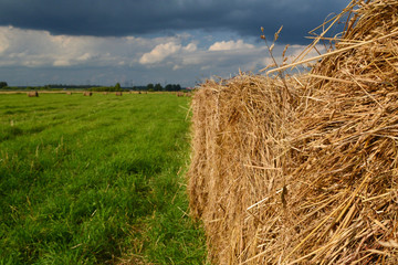 Fototapeta na wymiar rolls of hay on a green field