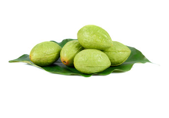 Chebulic Myrobalans, Myrolan Wood (Terminalia chebula Retz.) Fruit, medicinal properties.