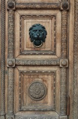 Door with lion