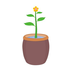 Isolated business money flower plant is growth in ceramic pot , vector icon