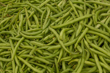 lots of pods of fresh green beans