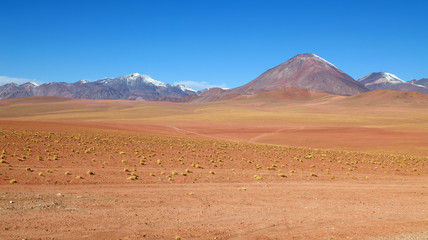 Atacama Wüste