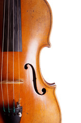 close-up of violin or fiddle isolated on white