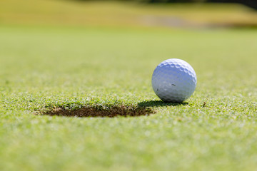 新緑のゴルフ場