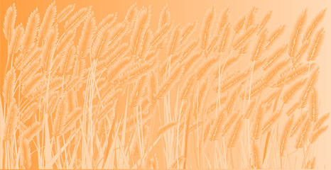 Crop Field Background © Al
