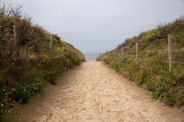 Fototapeta na wymiar Walking path through sand dunes and vegetation