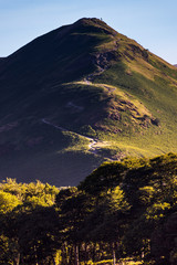Catbells