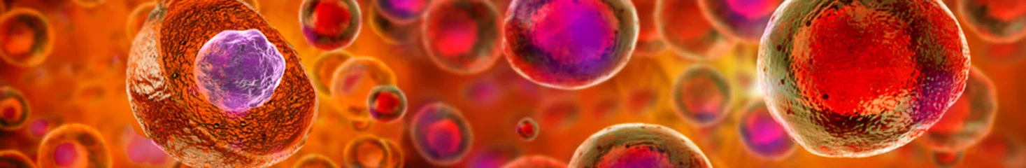 Foto op Aluminium Embryonic stem cells , Cellular therapy , Regeneration , Disease treatment © Giovanni Cancemi