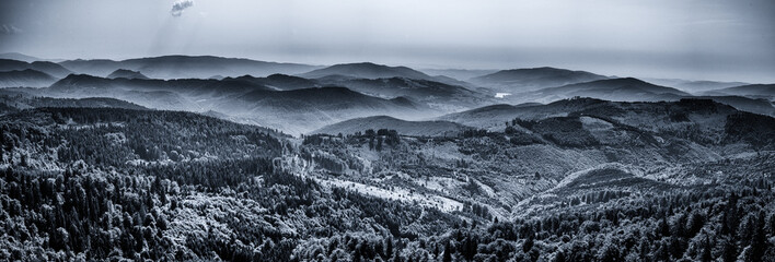 forest hills panorama