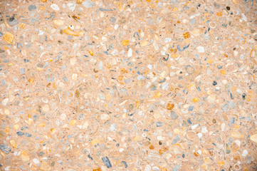 Colorful textured background of shells in stone flooring